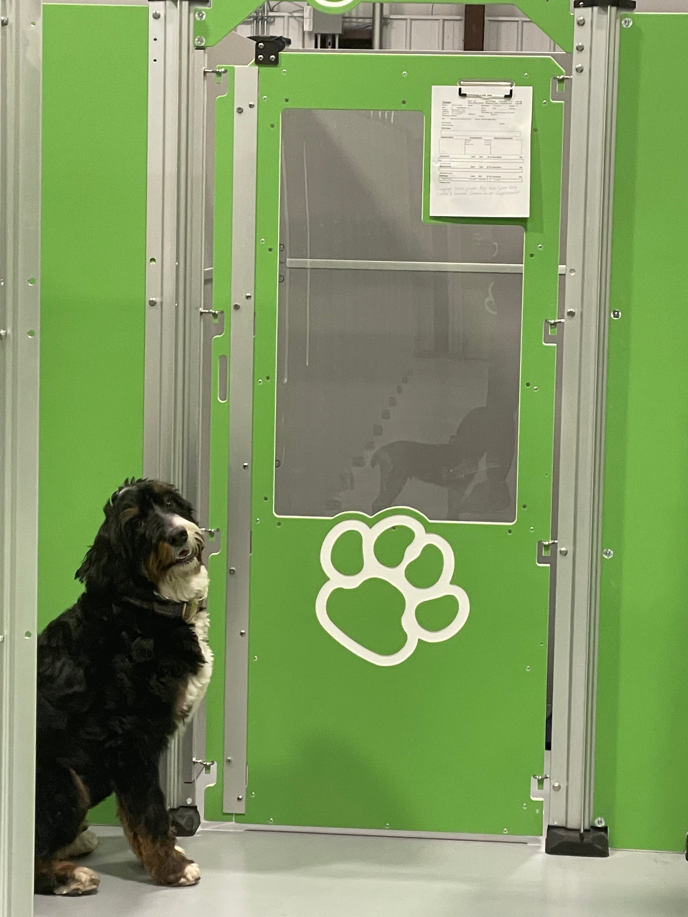 Pet Resort Groupon Dog Boarding Paradise Paws Pooch Hotel Buy In